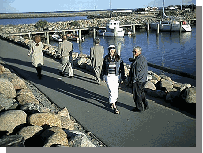 Studinen på havnen